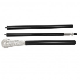 ΜΠΑΣΤΟΥΝΙ ΔΕΣΠΟΤΙΚΟ ΣΠΑΣΤΟ...