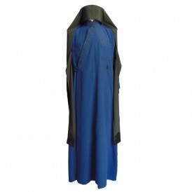 ΕΠΑΝΩΚΑΛΥΜΑΥΚΟ ΑΡΙΣΤΗΣ... 2